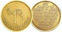 Camel Serenity Prayer Bronze AA Coin