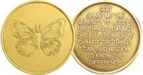 Butterfly Bronze Recovery Coin