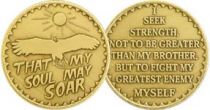 I Seek Strength Bronze Recovery Coin