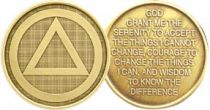 AA Symbol Bronze AA Coin