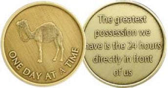 One Day At A Time Camel Bronze AA Coin