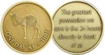 One Day At A Time Camel Bronze AA Coin