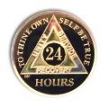 BSP-24 Hour Tri-Plated AA Coin
