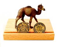 Camel Mini Recovery Coin Display