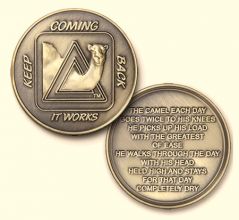 Sober Camel Bronze AA Medallion