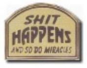 Stuff Happens Lapel Pin