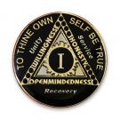 12 Jewel Black Tri-plated Sunlight of the Spirit AA Coin