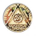 24 Hour Gold Plated Sunlight of the Spirit AA Coin
